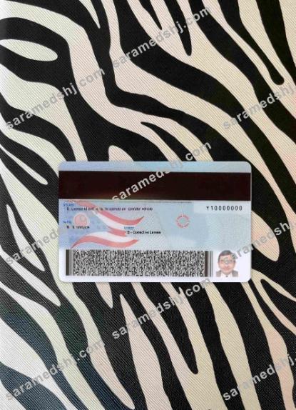 USA Ohio driving license under 21 photolook BACK
